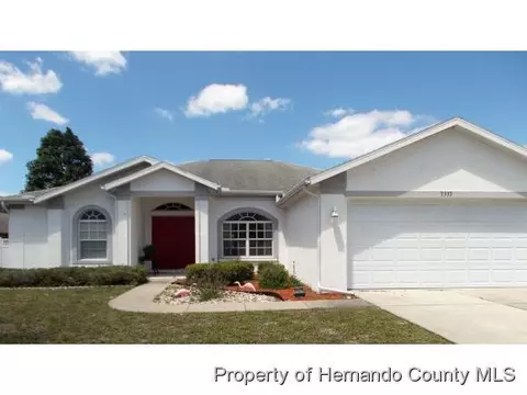 7337 Botanical Dr, Spring Hill, FL 34607 photo 1