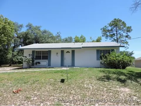 12195 Elmore Dr, Spring Hill, FL 34609 photo 1