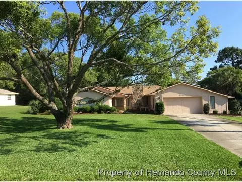 7861 Floral Dr, Weeki Wachee, FL 34607 photo 1