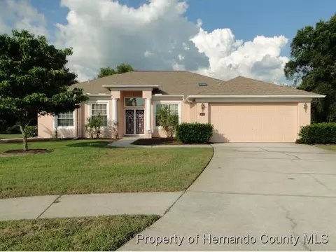 10297 Rosetti Ct, Spring Hill, FL 34608 photo 1
