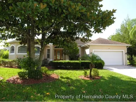 3228 Cedar Crest Loop, Spring Hill, FL 34609 photo 1