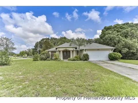 11005 Belltower St, Spring Hill, FL 34608 photo 1