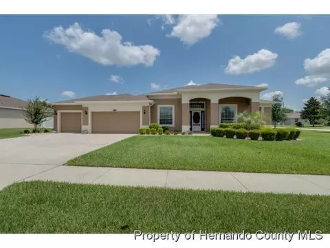 13563 Barkingside Pl, Spring Hill, FL 34609 photo 1