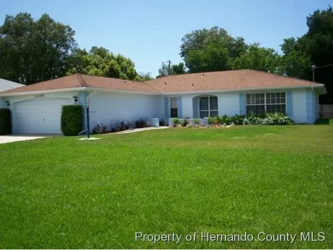 1205 Oldsmar Ave, Spring Hill, FL 34608 photo 1