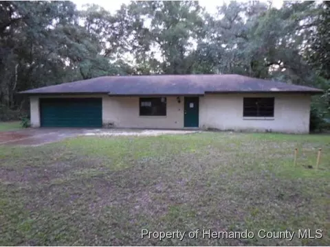 6291 Mike Ln, Webster, FL 33597 photo 1