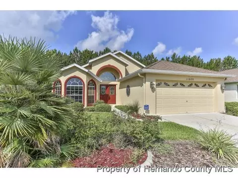 11600 New Haven Dr, Spring Hill, FL 34609 photo 1
