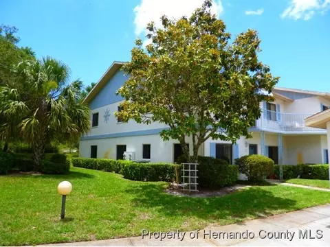 6573 River Run Blvd, Weeki Wachee, FL 34607 photo 1