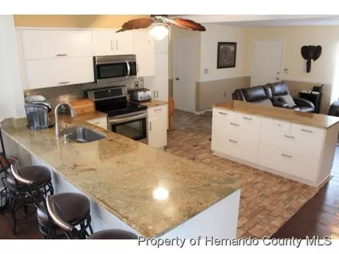 10315 Adler St, Spring Hill, FL 34608 photo 1