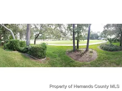7111 Big Bend Dr, Spring Hill, FL 34606 photo 1