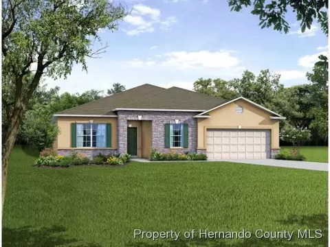1159 Macfarlane Ave, Spring Hill, FL 34608 photo 1