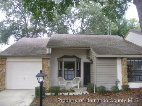 6656 Brambleleaf Dr, Spring Hill, FL 34606 photo 1