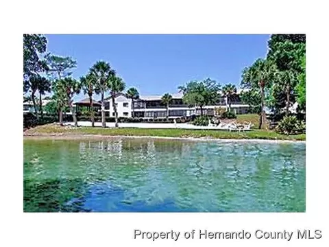 7022 River Run Blvd, Weeki Wachee, FL 34607 photo 1