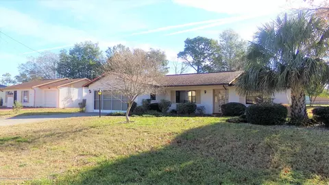 1454 Deborah Dr, Spring Hill, FL 34609 photo 1