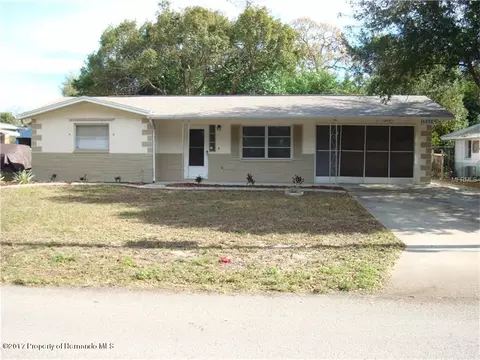 4036 Thunderbird Ave, Spring Hill, FL 34606 photo 1