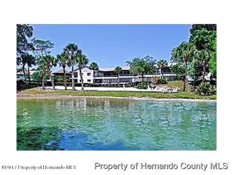 6423 River Lodge Dr, Weeki Wachee, FL 34607 photo 1