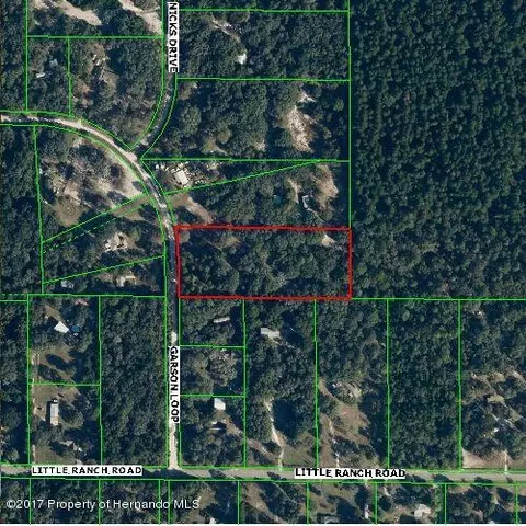 15125 Garson Loop, Spring Hill, FL 34610 photo 1
