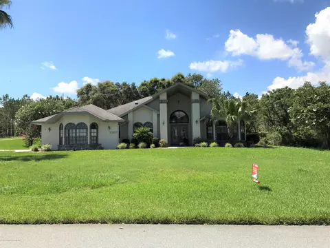 329 Lisson Grove Ln, Spring Hill, FL 34609 photo 1