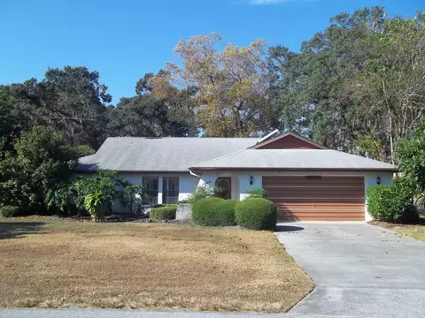 2659 Waterfall Dr, Spring Hill, FL 34608 photo 1