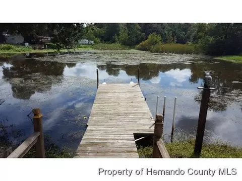 7490 Westside Ave, Weeki Wachee, FL 34607 photo 1