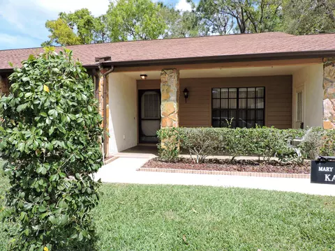 6579 Brambleleaf Dr, Spring Hill, FL 34606 photo 1