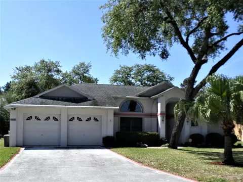 4466 Plumosa St, Spring Hill, FL 34607 photo 1