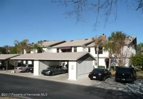 6460 River Run Blvd, Weeki Wachee, FL 34607 photo 1