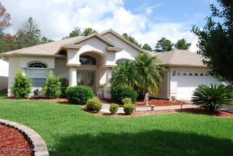 13385 Drayton Dr, Spring Hill, FL 34609 photo 1