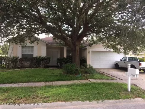 22446 Laureldale, Lutz, FL 33549 photo 1