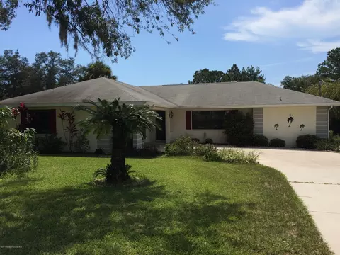 161 Hallow Ave, Spring Hill, FL 34606 photo 1