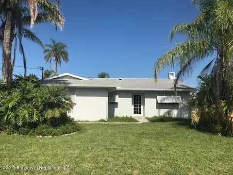 4099 Camelia Dr, Hernando Beach, FL 34607 photo 1