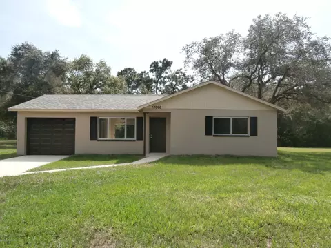 13068 Barrow St, Spring Hill, FL 34609 photo 1
