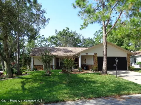 6485 Pine Meadows Dr, Spring Hill, FL 34606 photo 1