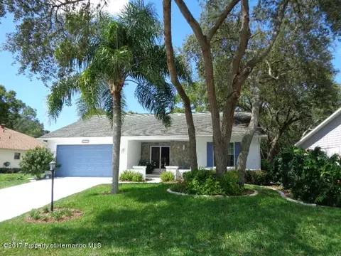 6554 Pine Meadows Dr, Spring Hill, FL 34606 photo 1