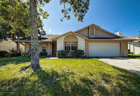 18603 White Pine Cir, Hudson, FL 34667 photo 1