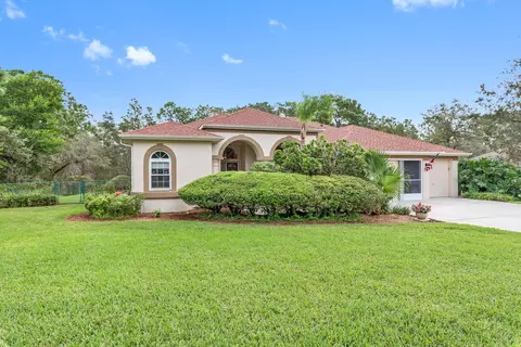 3074 Stephanie Dr, Spring Hill, FL 34608 photo 1