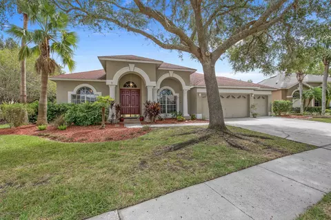 19215 Wind Dancer St, Lutz, FL 33558 photo 1