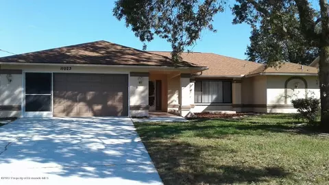 11023 Little St, Spring Hill, FL 34608 photo 1