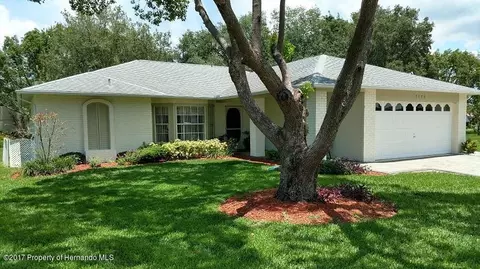 3150 Treeline Ct, Spring Hill, FL 34606 photo 1