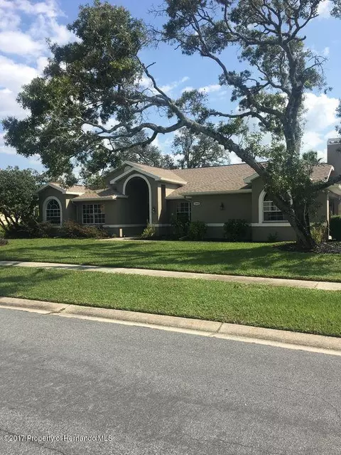 1004 Hook Dr, Spring Hill, FL 34608 photo 1
