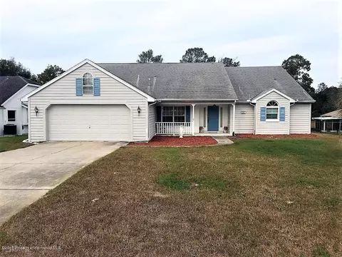 10061 Langan St, Spring Hill, FL 34608 photo 1