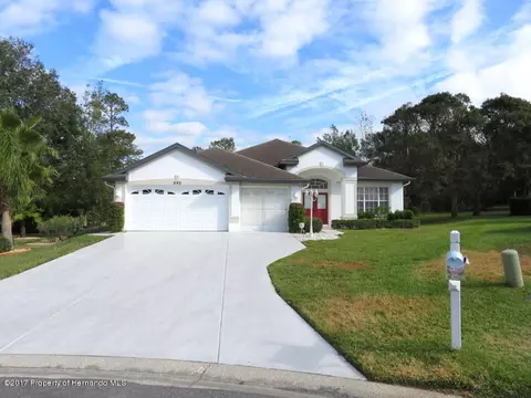 5142 Silhouette Ct, Spring Hill, FL 34607 photo 1