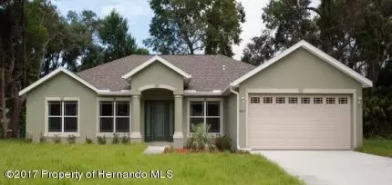 14019 Kane, Spring Hill, FL 34609 photo 1