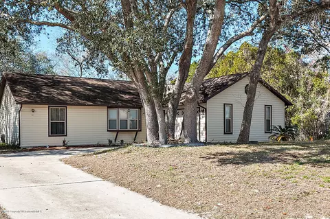 1131 Alloway Ave, Spring Hill, FL 34608 photo 1