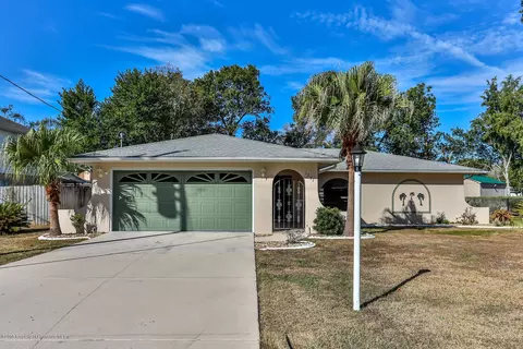 1271 Persian Ave, Spring Hill, FL 34608 photo 1
