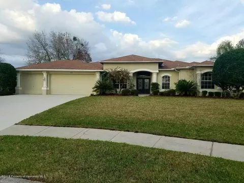 4036 Littleleaf Ct, Spring Hill, FL 34609 photo 1
