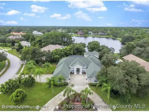 6492 Laurel Oak Dr, Spring Hill, FL 34607 photo 1