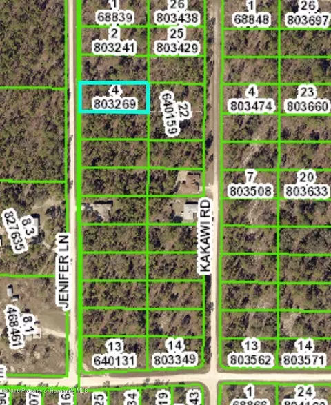 00 Jenifer, Weeki Wachee, FL 34614