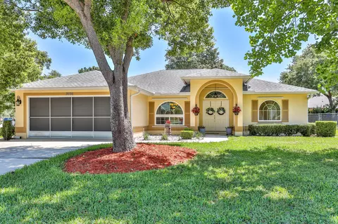 3036 Dothan Ave, Spring Hill, FL 34609 photo 1