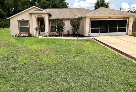 13319 Drysdale St, Spring Hill, FL 34609 photo 1
