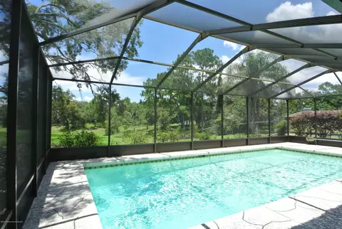 2096 Danforth Rd, Spring Hill, FL 34608 photo 1